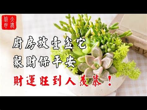 櫻花風水|櫻花盆栽風水:5分鐘提升運勢